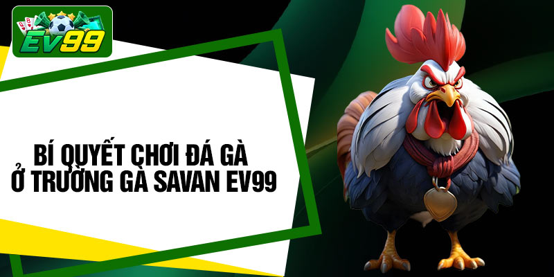 Bí quyết chơi đá gà ở trường gà Savan EV99