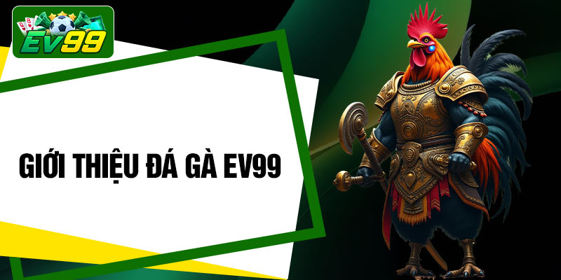 Giới thiệu đá gà EV99