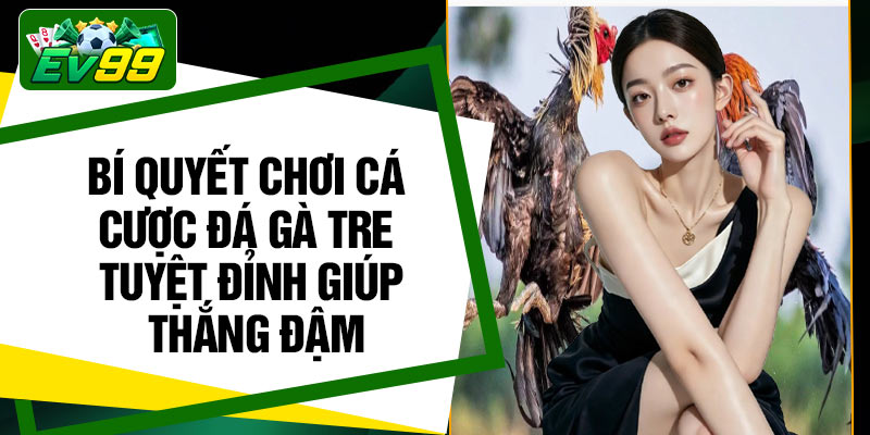 Bí quyết chơi cá cược đá gà tre tuyệt đỉnh giúp thắng đậm