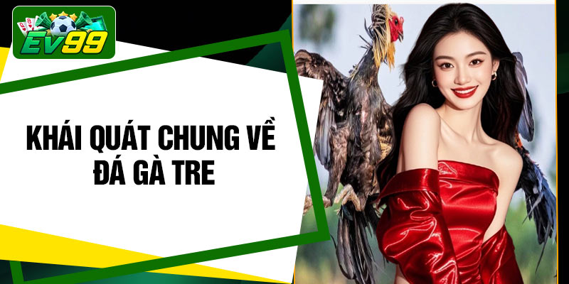 Khái quát chung về đá gà tre